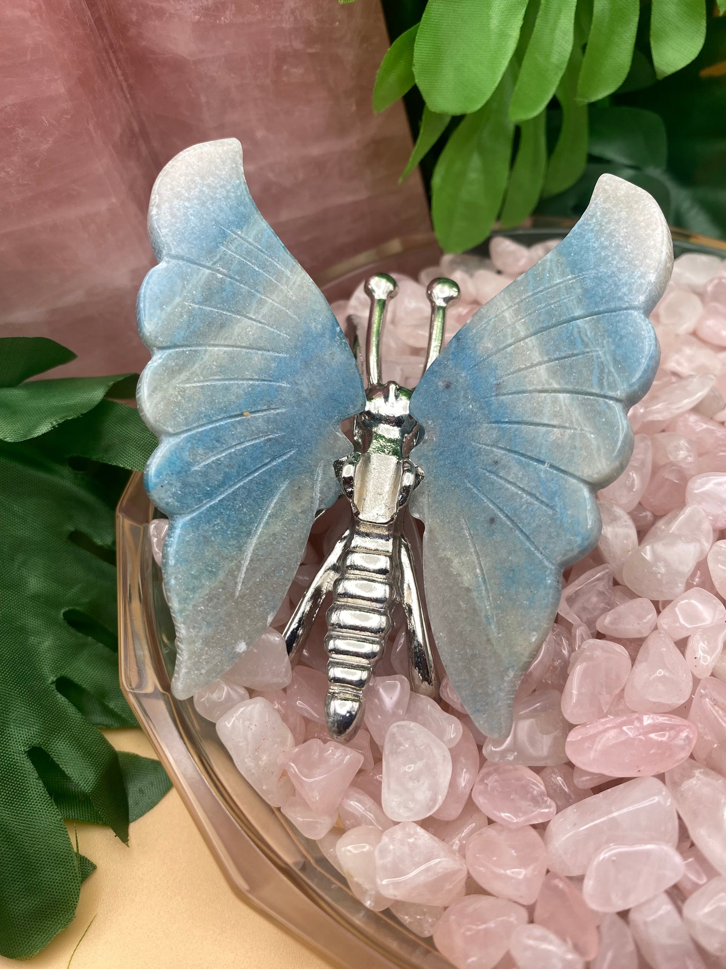 Troilite Butterflies