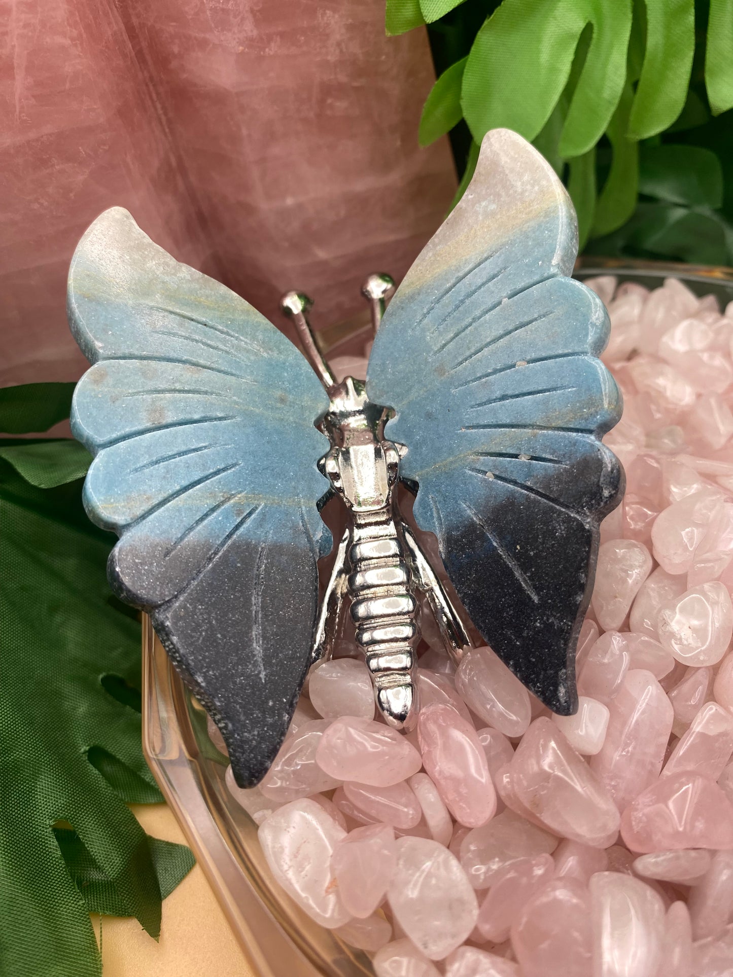 Troilite Butterflies