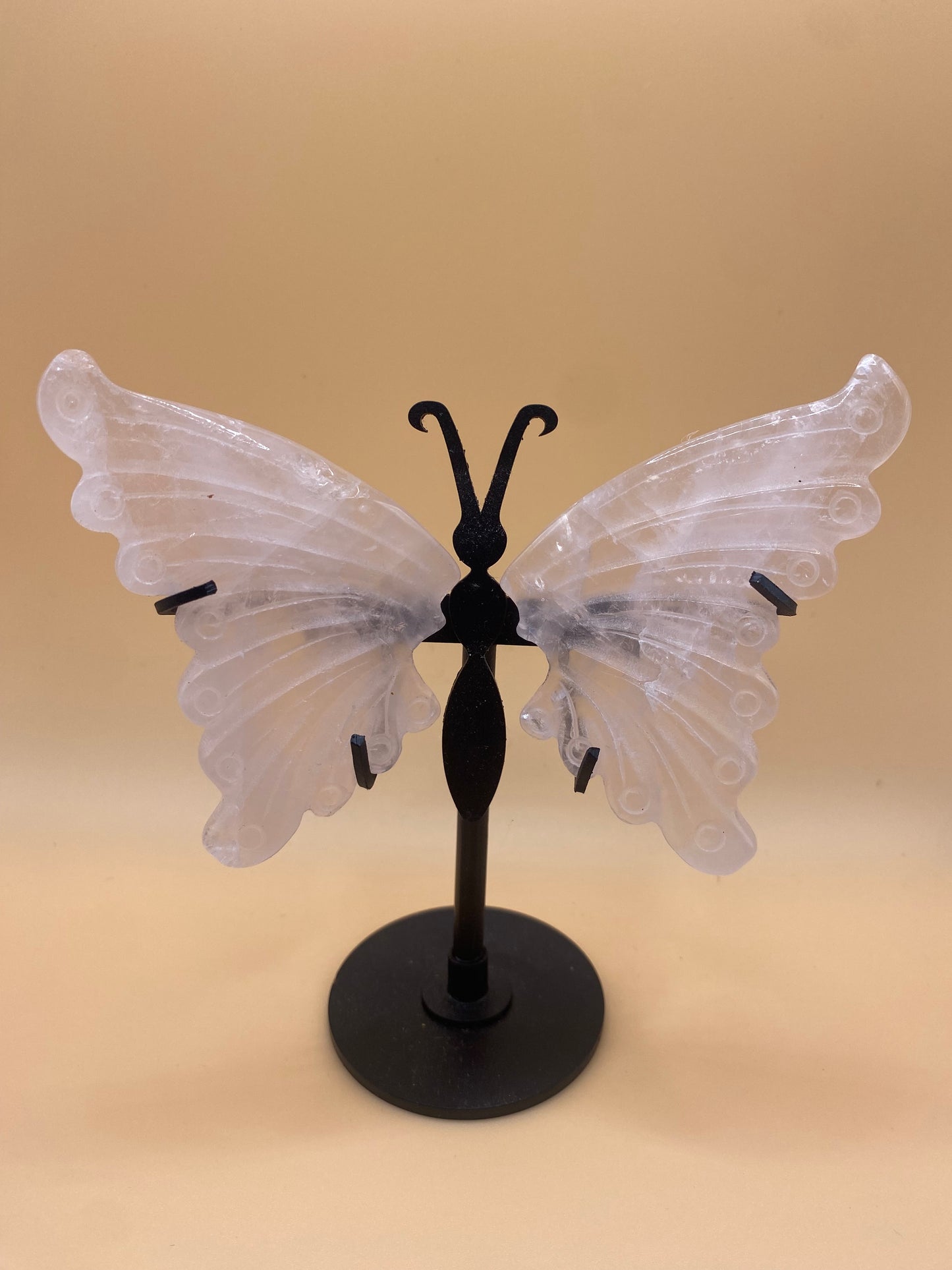 Butterflies with Stand