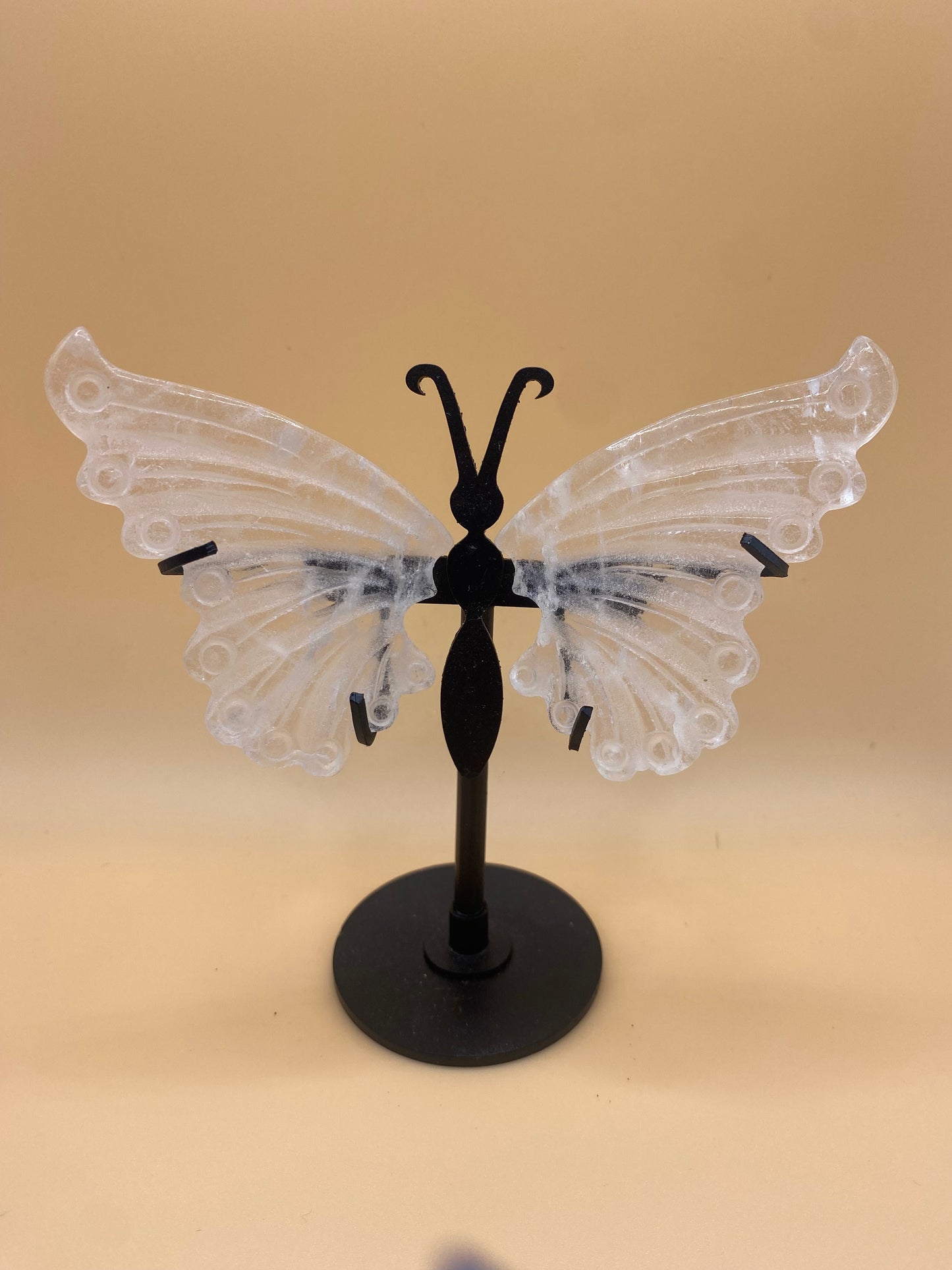 Butterflies with Stand