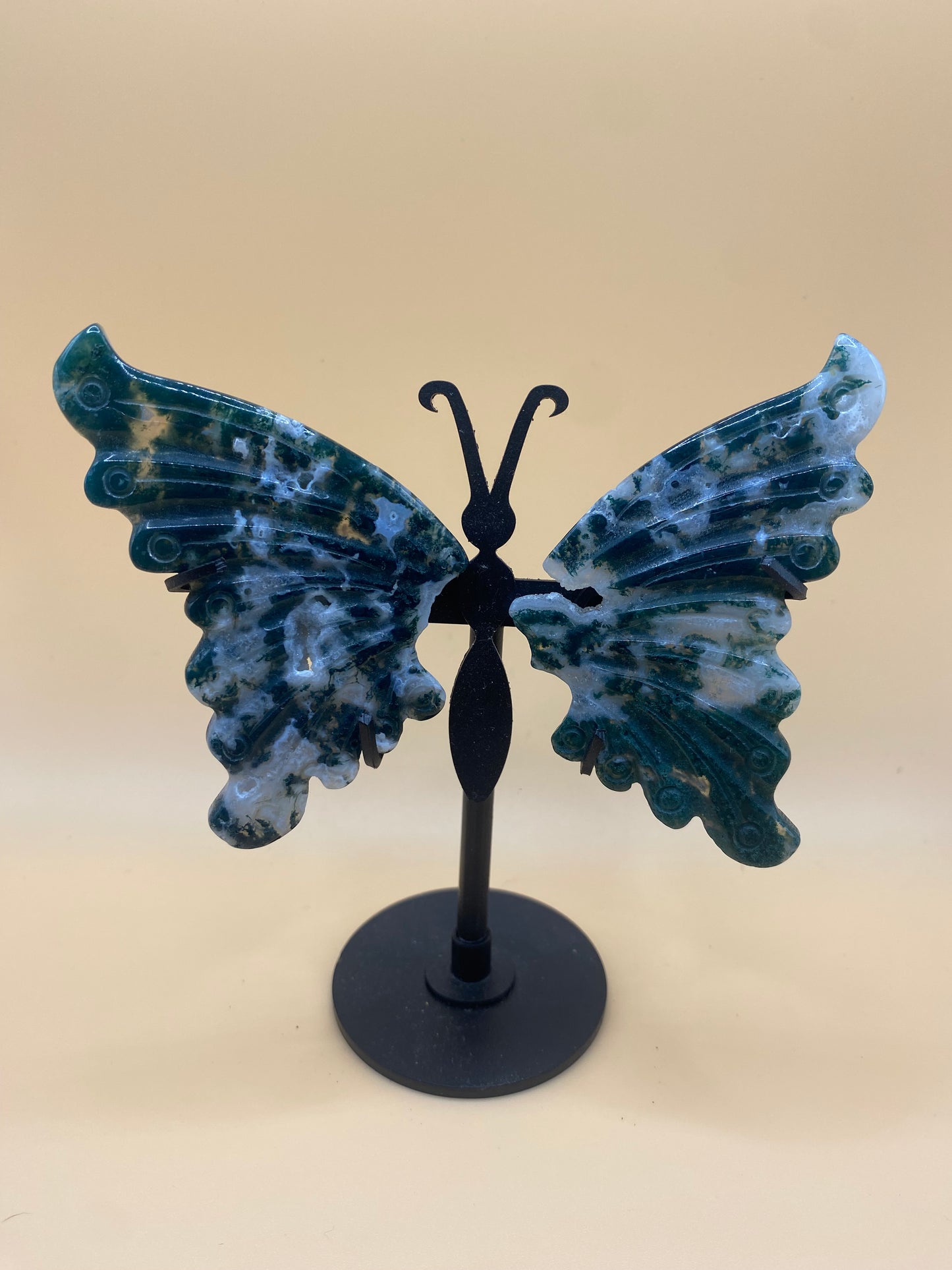 Butterflies with Stand