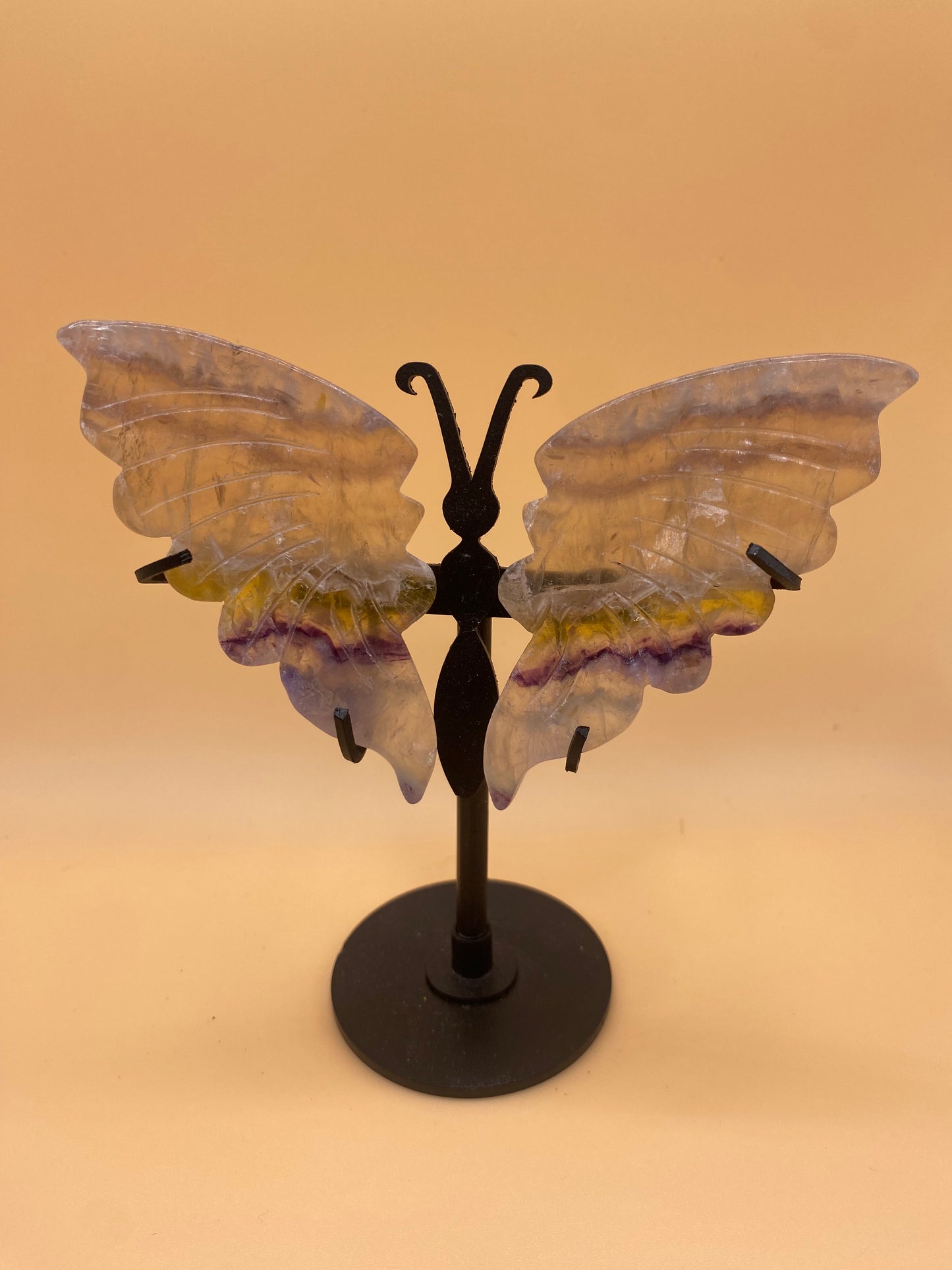 Butterflies with Stand