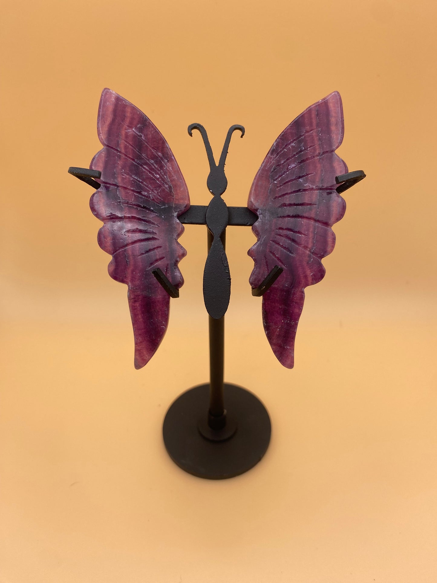 Butterflies with Stand