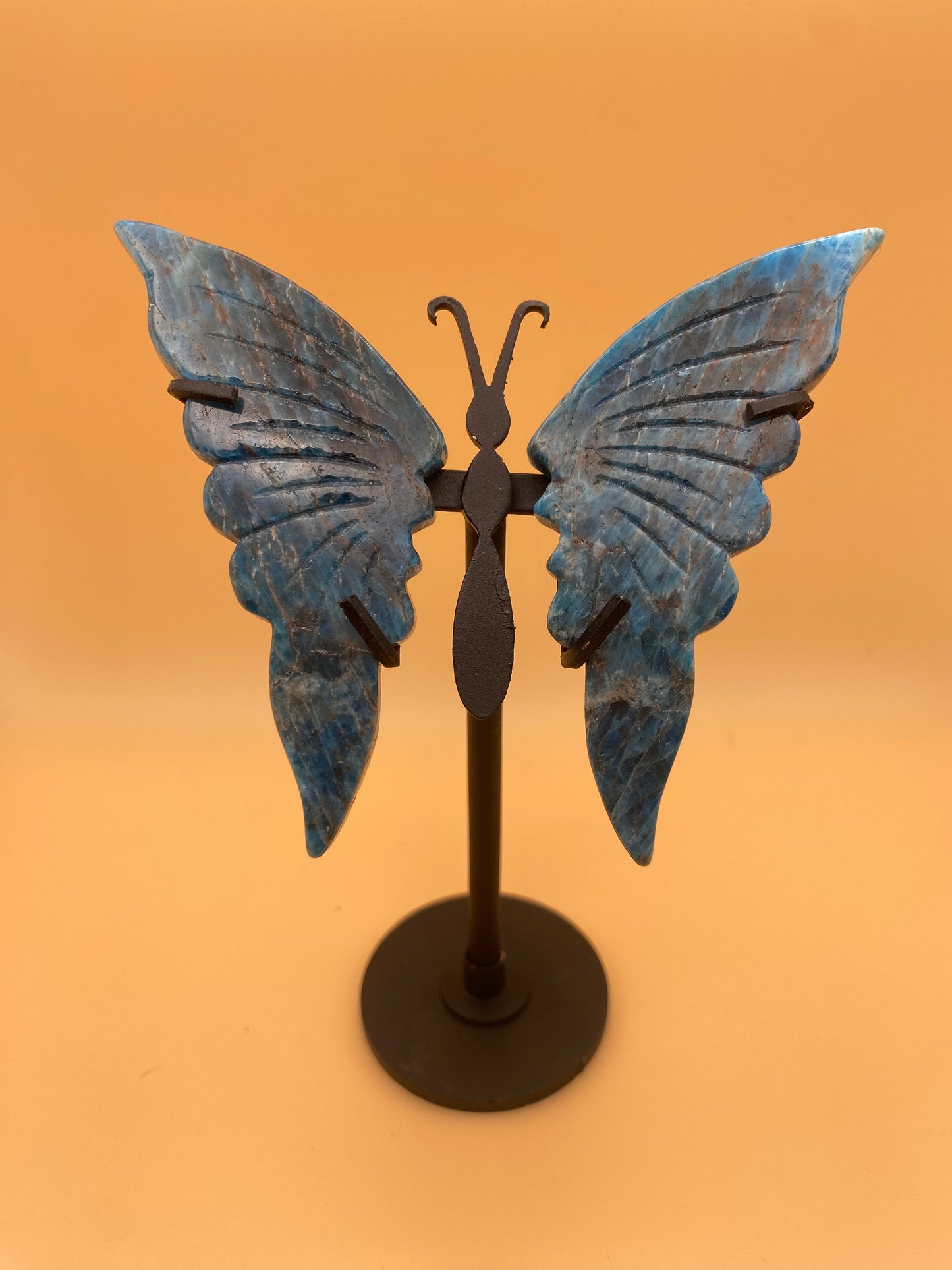 Butterflies with Stand