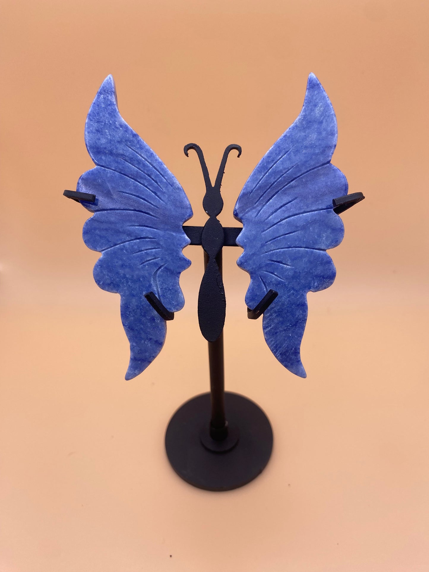 Butterflies with Stand